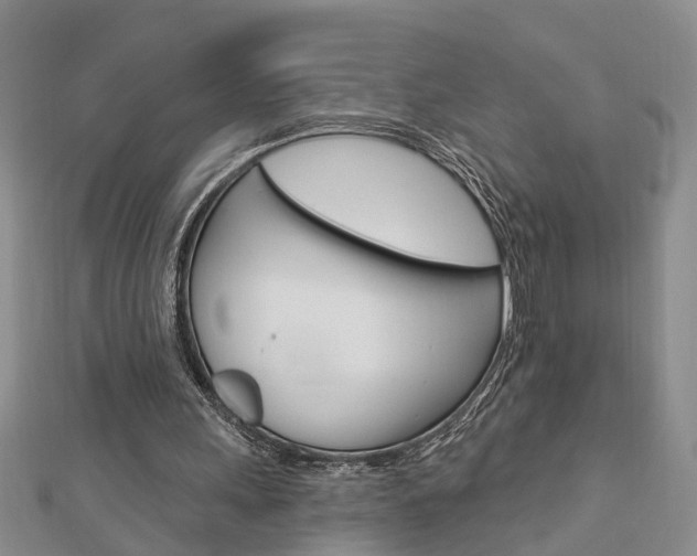 X0000112920243200908241037