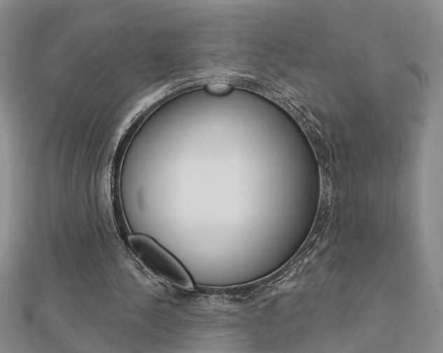 X0000112920244200908241037