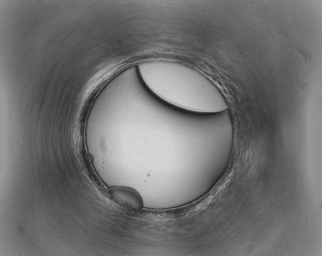 X0000112920245200908241037