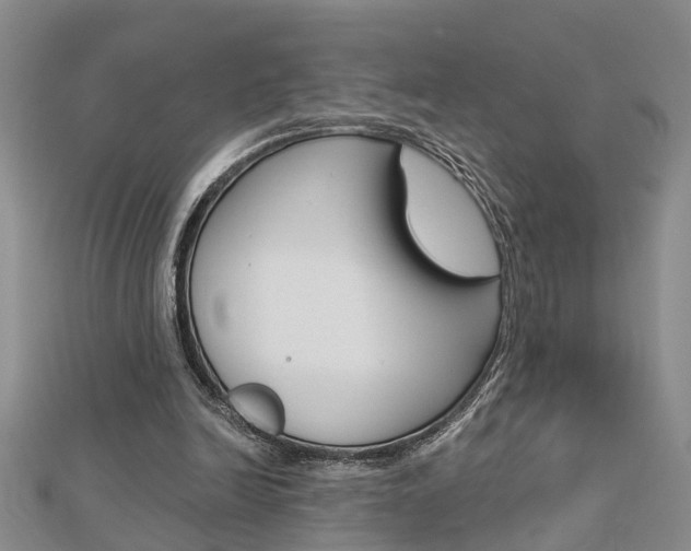 X0000112920246200908241037