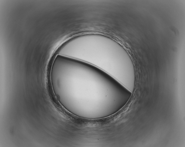 X0000112920248200908241037