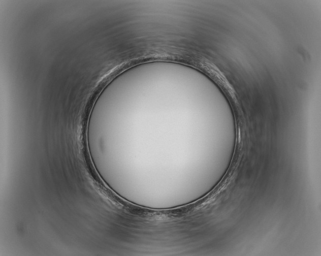 X0000112920249200908241037