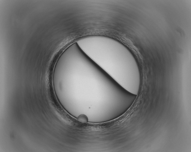 X0000112920250200908241037