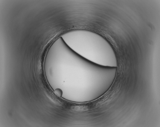 X0000112920251200908241037