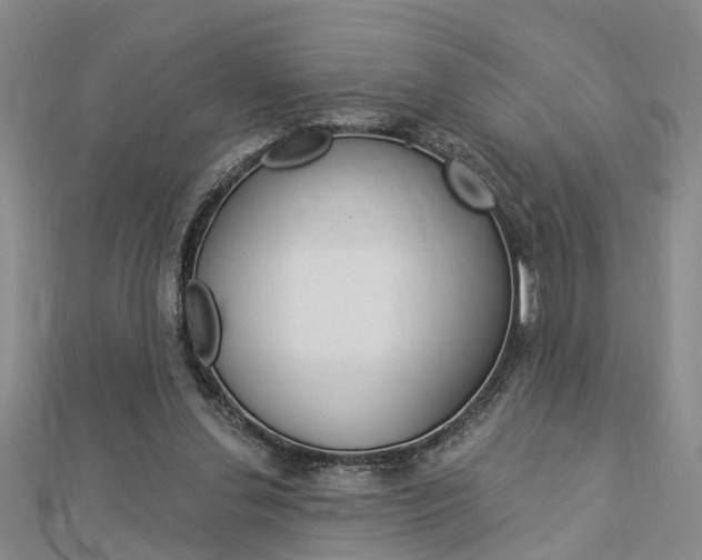 X0000112920252200908241037