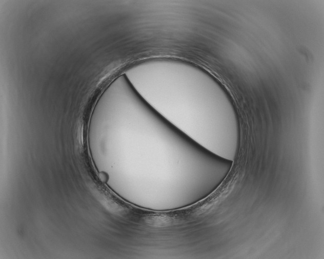 X0000112920253200908241037