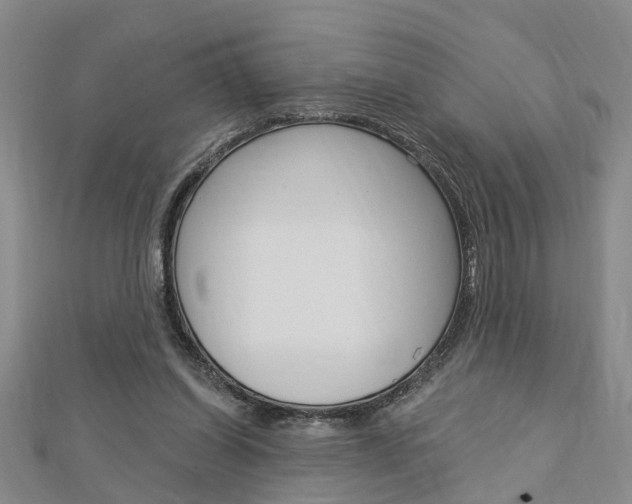 X0000112920254200908241038