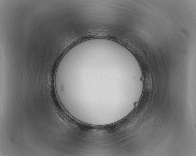 X0000112920255200908241038