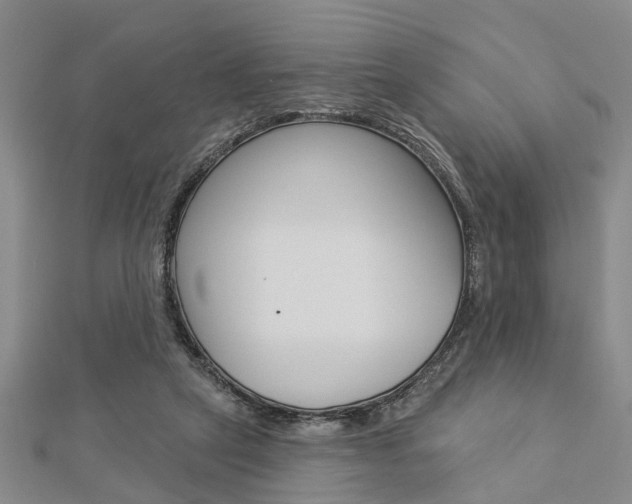 X0000112920257200908241038