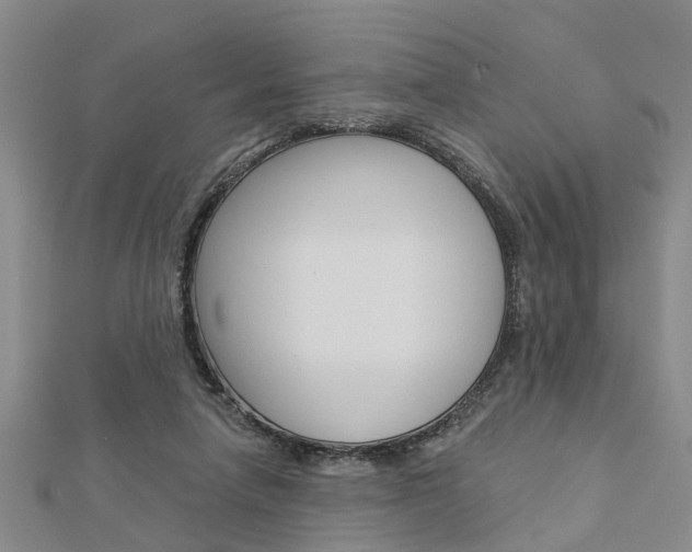 X0000112920258200908241038