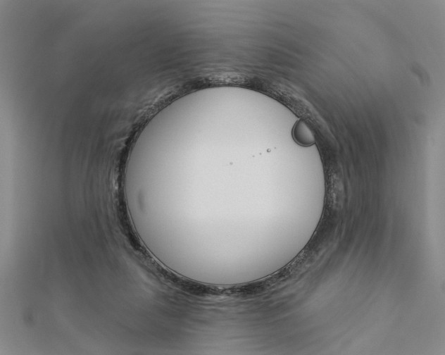 X0000112920259200908241038