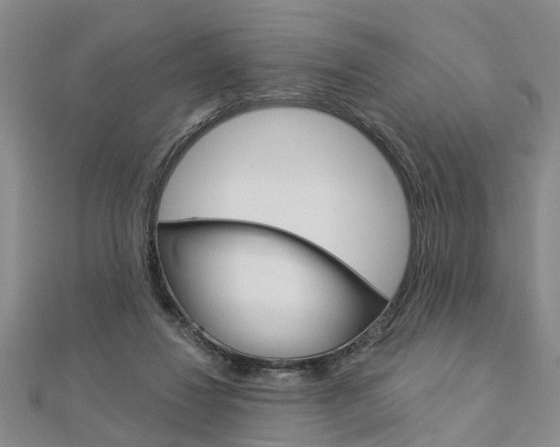 X0000112920260200908241038