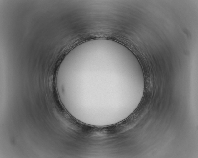 X0000112920263200908241038