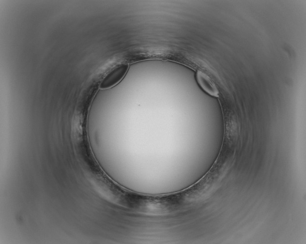 X0000112920264200908241038