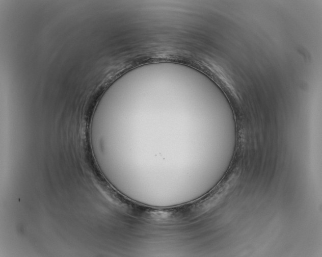 X0000112920265200908241038