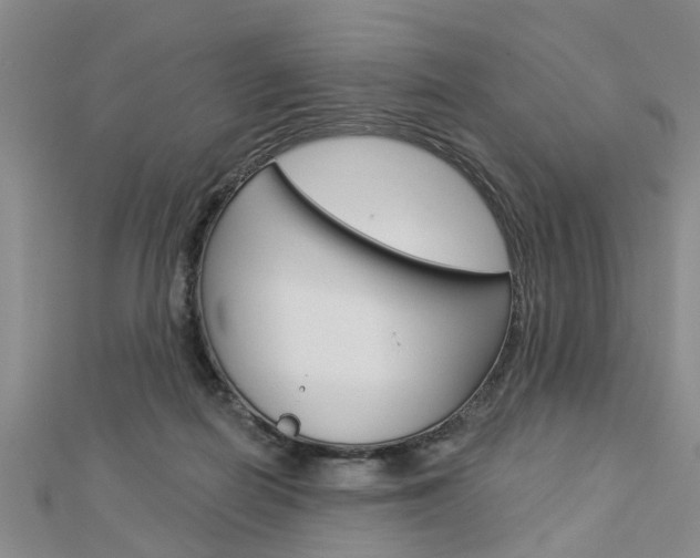 X0000112920266200908241038