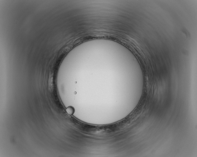 X0000112920267200908241038