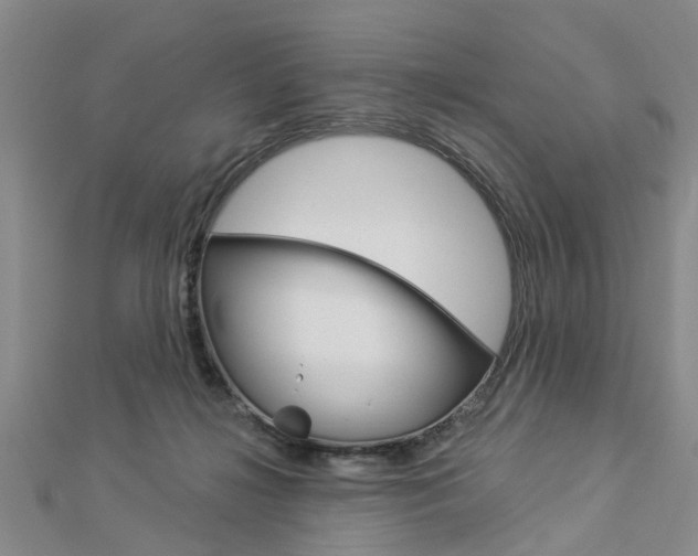 X0000112920268200908241038