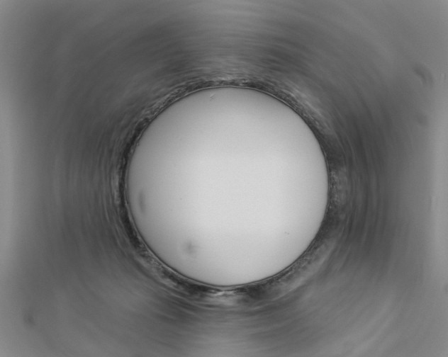 X0000112920269200908241038