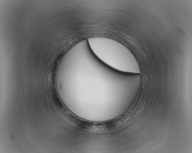 X0000112920270200908241038