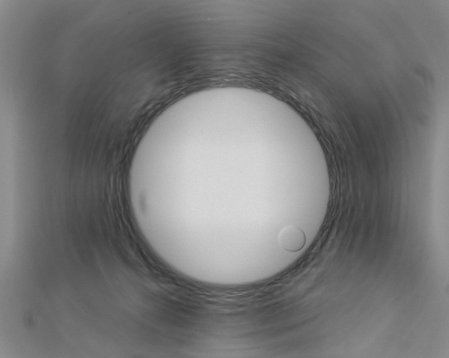 X0000112920272200908241038