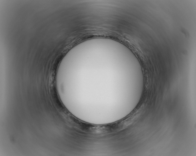 X0000112920273200908241038