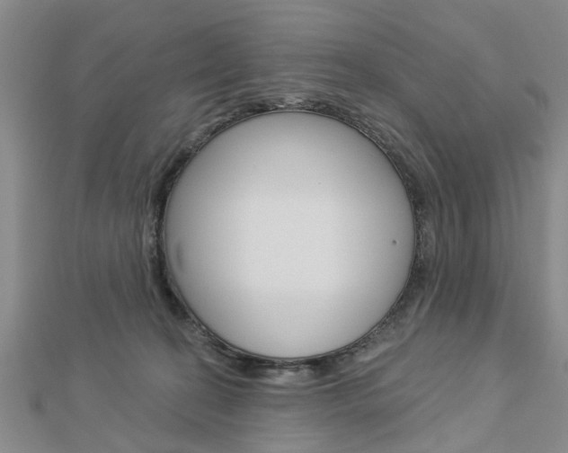 X0000112920274200908241038