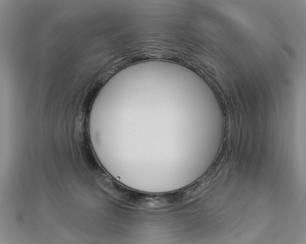 X0000112920275200908241038