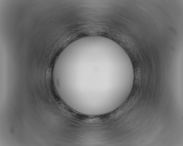 X0000112920278200908241038