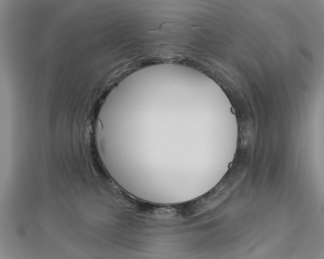 X0000112920279200908241038