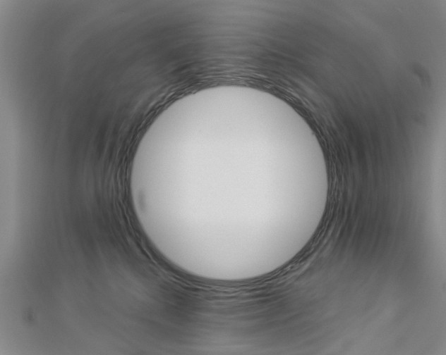 X0000112920280200908241038