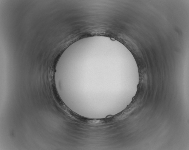 X0000112920281200908241038
