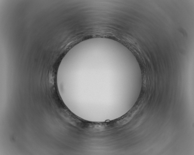 X0000112920282200908241038