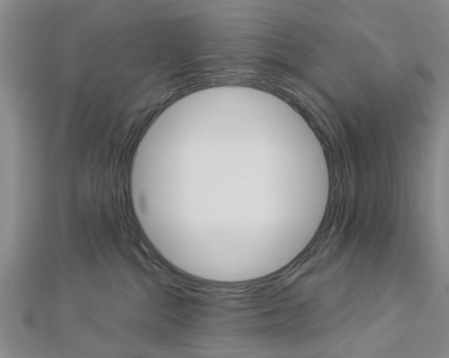 X0000112920284200908241038
