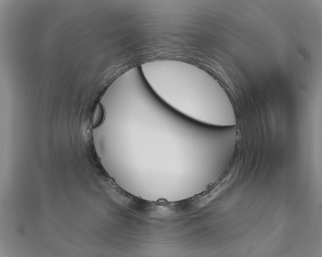 X0000112920285200908241038