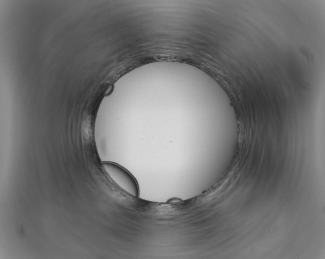 X0000112920287200908241038