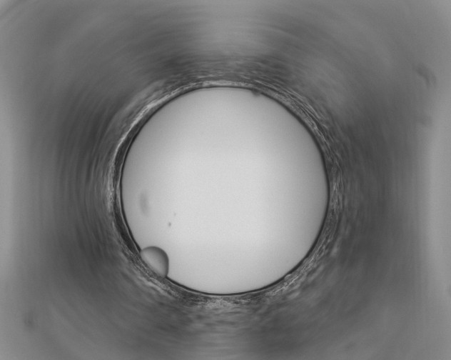 X0000112920290200908241037