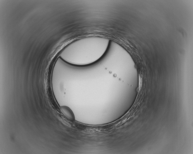 X0000112920291200908241037