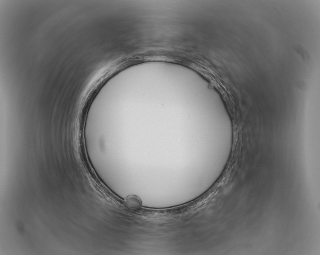 X0000112920293200908241037