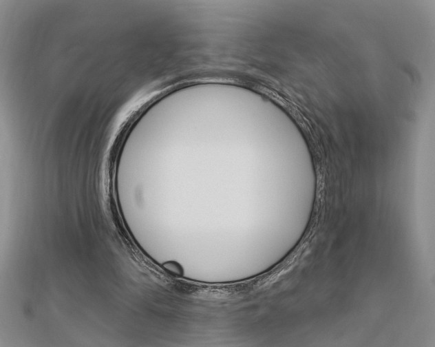 X0000112920294200908241037
