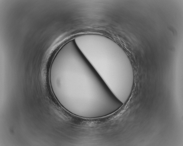 X0000112920295200908241037