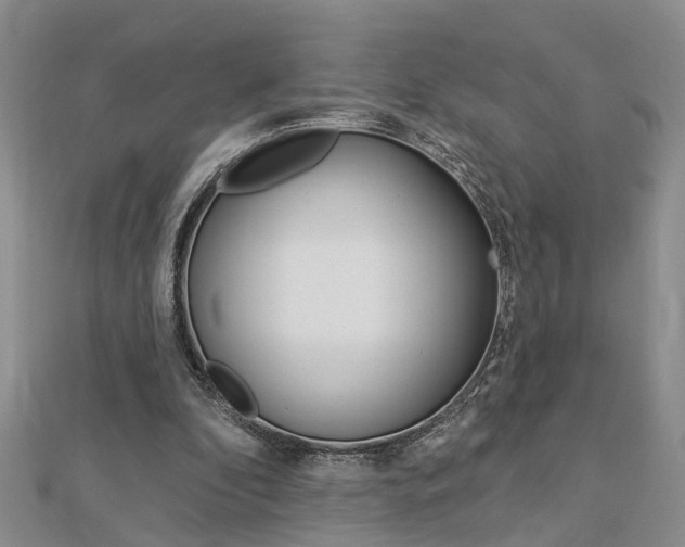 X0000112920296200908241037