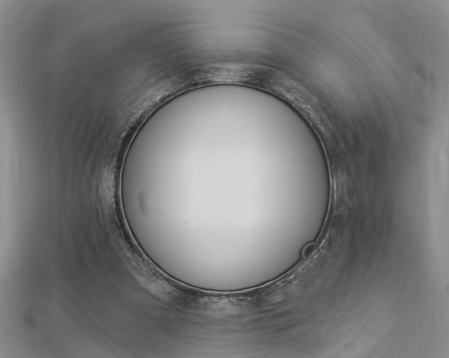X0000112920297200908241037