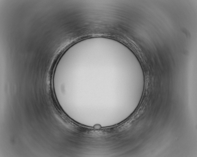 X0000112920298200908241037