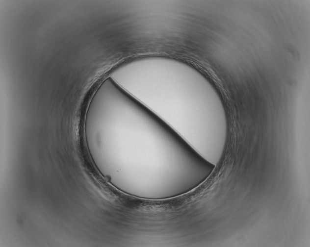 X0000112920299200908241037