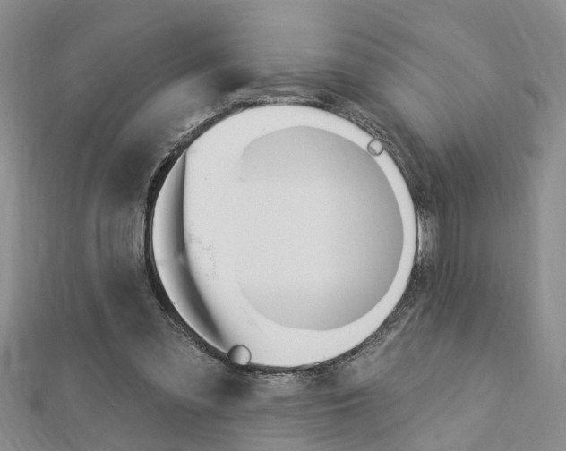 X0000112920301200908241037