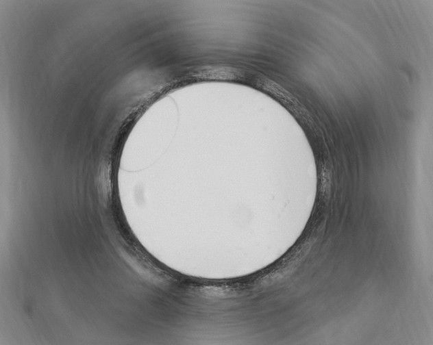 X0000112920302200908241037
