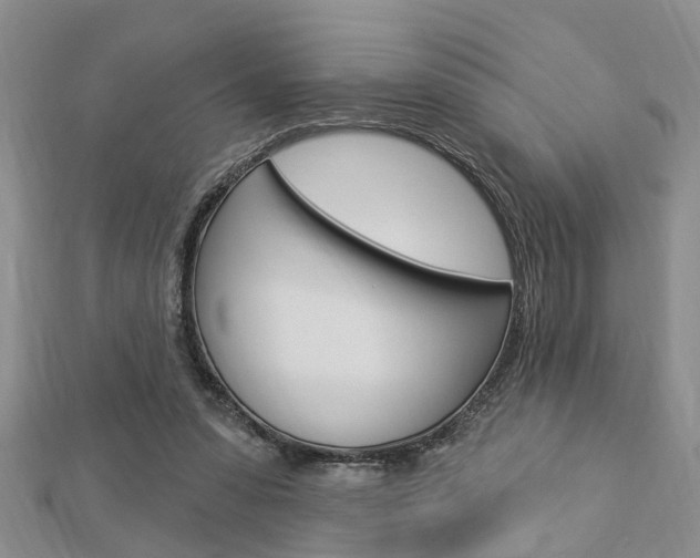 X0000112920303200908241037