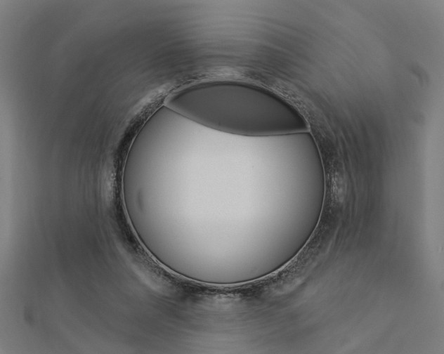 X0000112920304200908241037