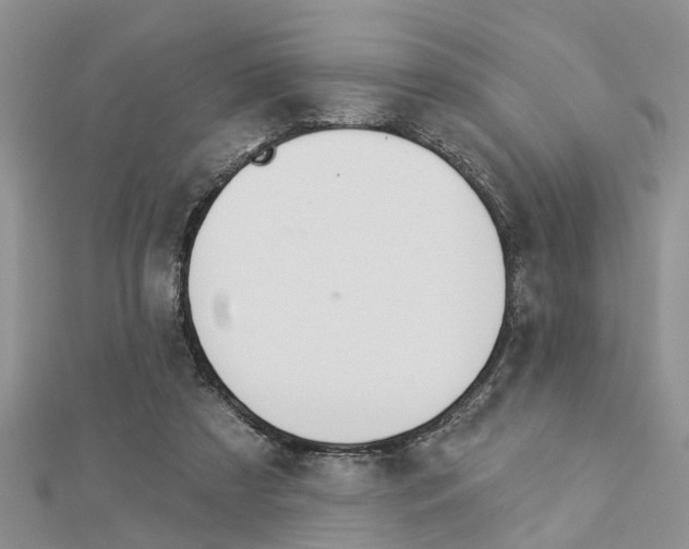X0000112920305200908241037
